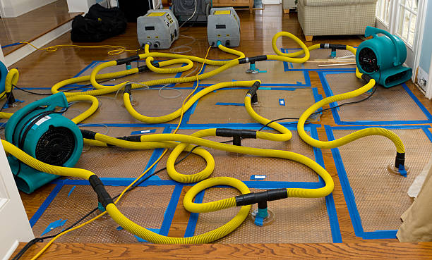 Professional Flood Damage Restoration technician working in Ludlow, MA